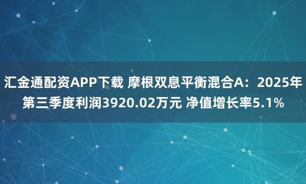 汇金通配资APP下载 摩根双息平衡混合A：2025年第三季度利润3920.02万元 净值增长率5.1%